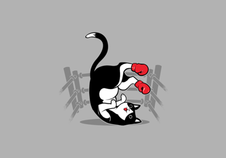 Boxer Cat