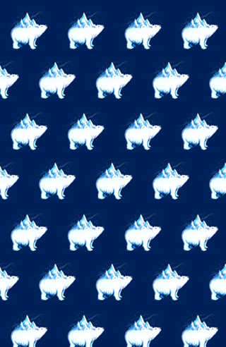Icebearg Polar Bear