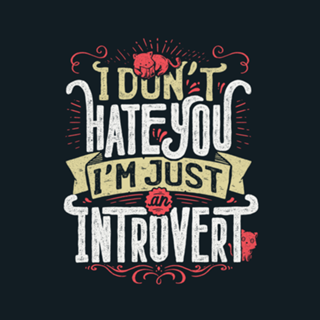 I don’t hate you I’m just an introvert