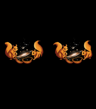 Universe In a Nutshell