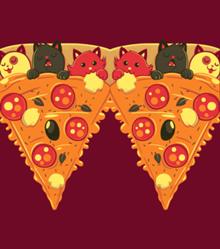 Pizza Cat