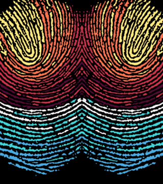 Fingerprint Sunset