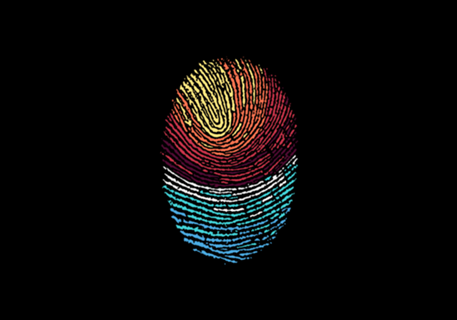 Fingerprint Sunset