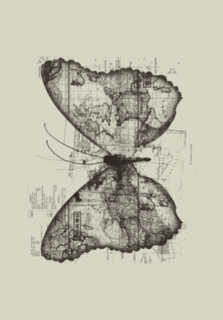 Butterfly Effect