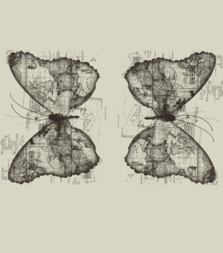 Butterfly Effect