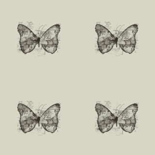 Butterfly Effect
