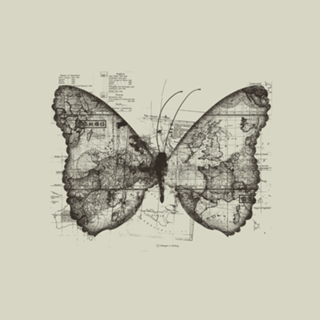 Butterfly Effect