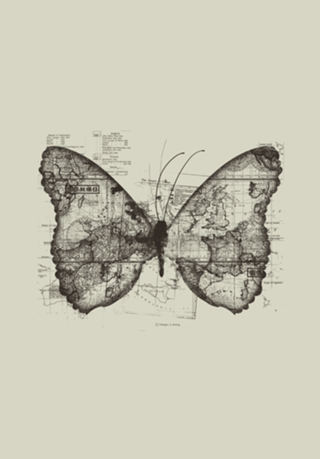 Butterfly Effect