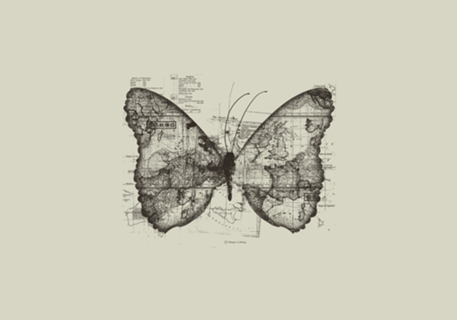 Butterfly Effect