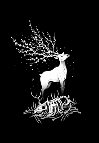 Life After Death Reborn