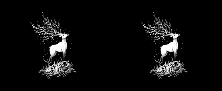 Life After Death Reborn