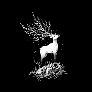 Life After Death Reborn
