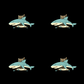 Cat Shark Funny Cat