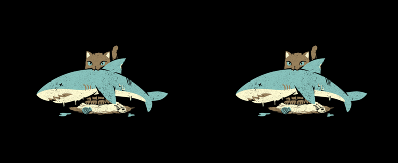 Cat Shark Funny Cat