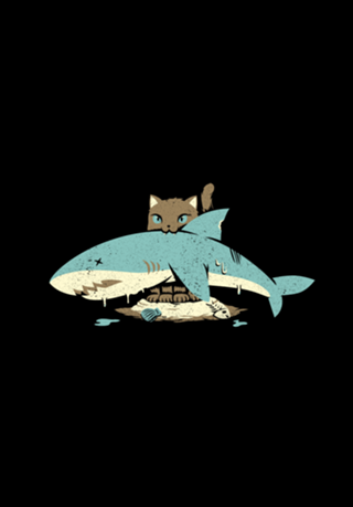 Cat Shark Funny Cat