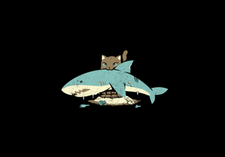 Cat Shark Funny Cat
