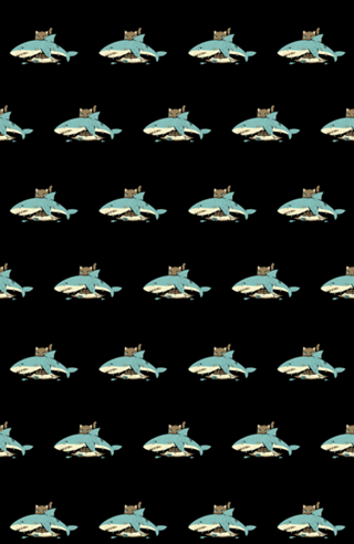 Cat Shark Funny Cat