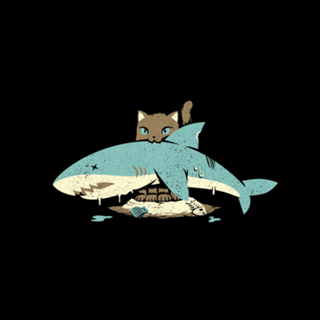 Cat Shark Funny Cat