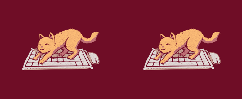 Cat Keyboard No Personal Space