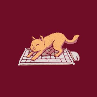 Cat Keyboard No Personal Space