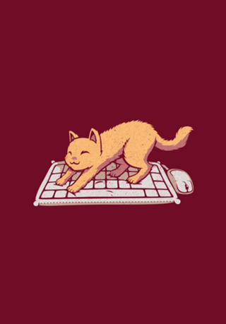 Cat Keyboard No Personal Space