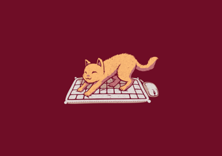 Cat Keyboard No Personal Space