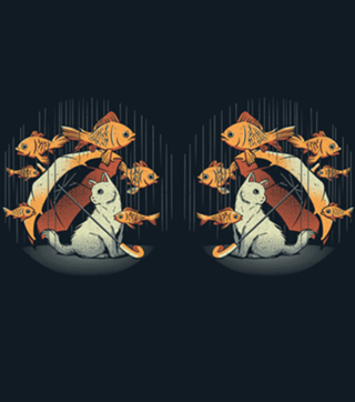 A Day In A Cat's Life Golden Fish In The Rain