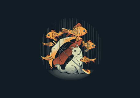 A Day In A Cat's Life Golden Fish In The Rain