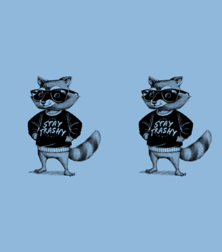 Stay Trashy Raccoon