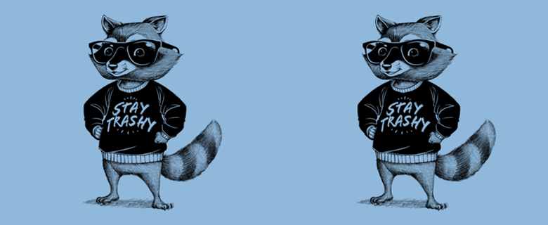 Stay Trashy Raccoon