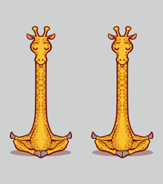 Giraffe Animals Meditation Zen Buddhism