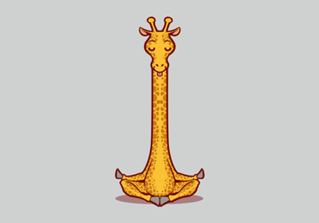 Giraffe Animals Meditation Zen Buddhism