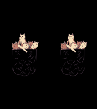 Pocket Full of Cats v2