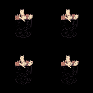 Pocket Full of Cats v2