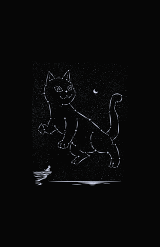 Cat Constellation