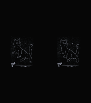 Cat Constellation