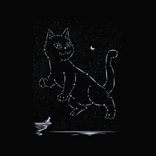 Cat Constellation