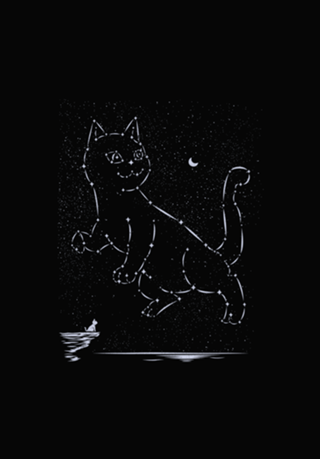 Cat Constellation