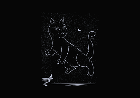 Cat Constellation