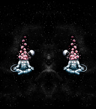 Gravity Tobe Fonseca Astro Meditation Roses
