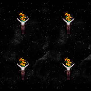 Gravity Tobe Fonseca Sun Salutation Astronaut