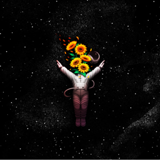 Gravity Tobe Fonseca Sun Salutation Astronaut