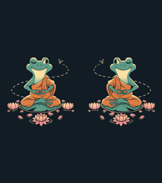 Meditation Frog