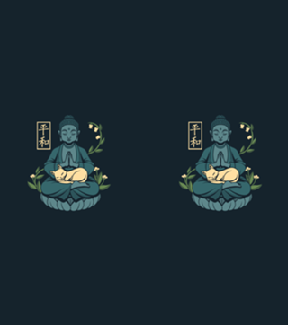 Cat Meditation Buddhism Buddha