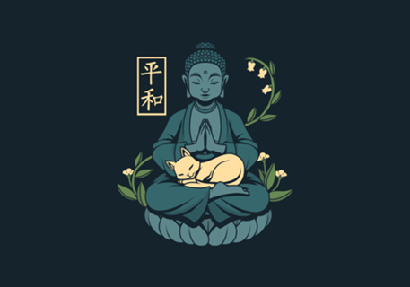 Cat Meditation Buddhism Buddha