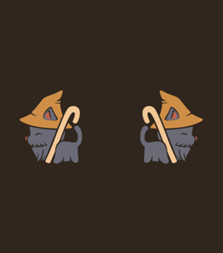 Mage Wizard Cat Witch