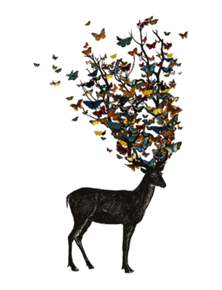 Wild Nature
