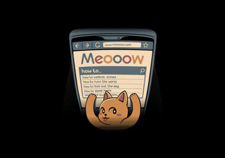 How To Rule The World Cat Using a Computer