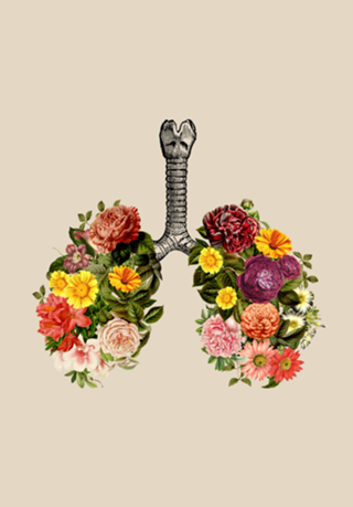 Breathing Spring Flower Lungs