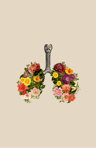 Breathing Spring Flower Lungs